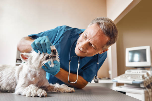 Best Urgent Dental Care in Ore City, TX